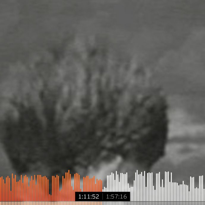 PVNKT - From Darkness to the Light at the End of the Tunnel